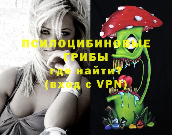 хмурый Протвино