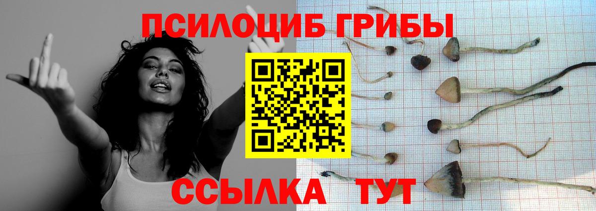 Галлюциногенные грибы мухоморы  Вход с VPN  наркота  Спасск-Дальний 